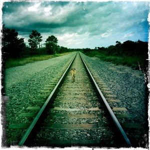 Meet your Posher, Desiree